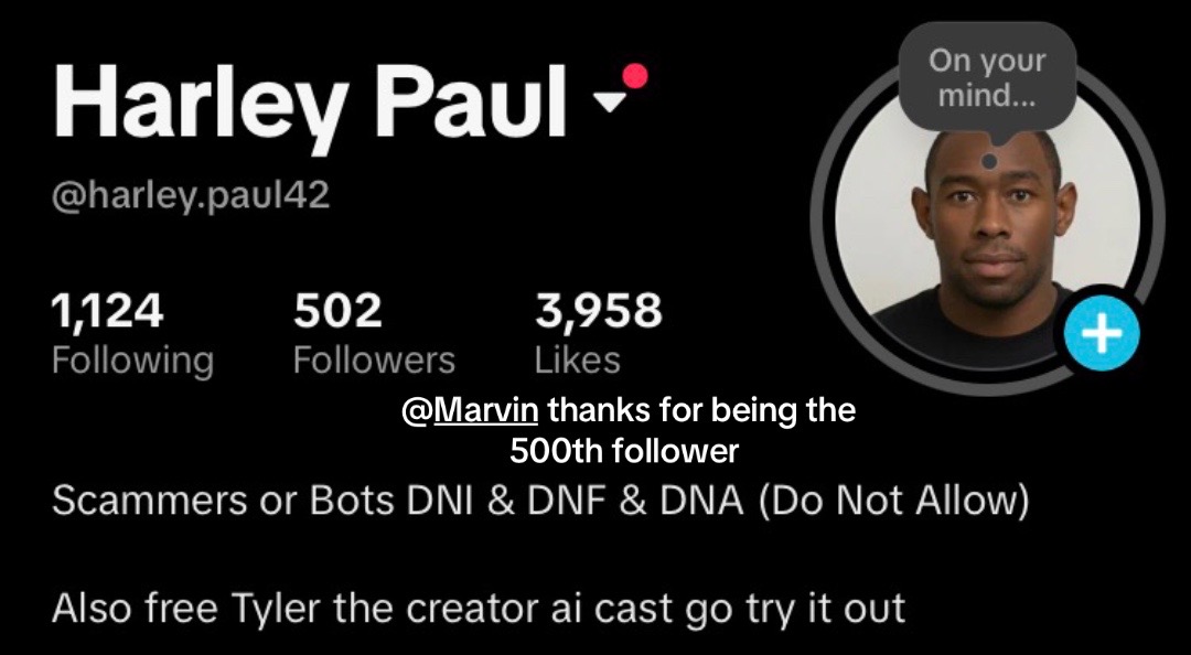 @Harley Paul