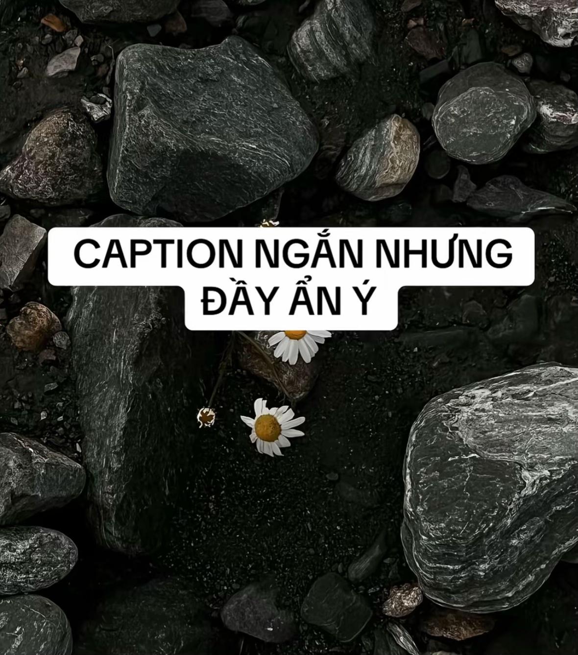 @Hạ Vy
