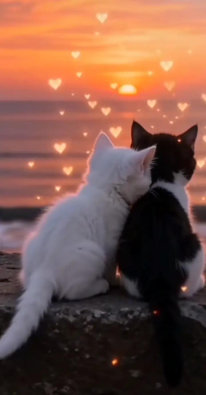 @🌹 𝐆𝐔𝐋 🌹