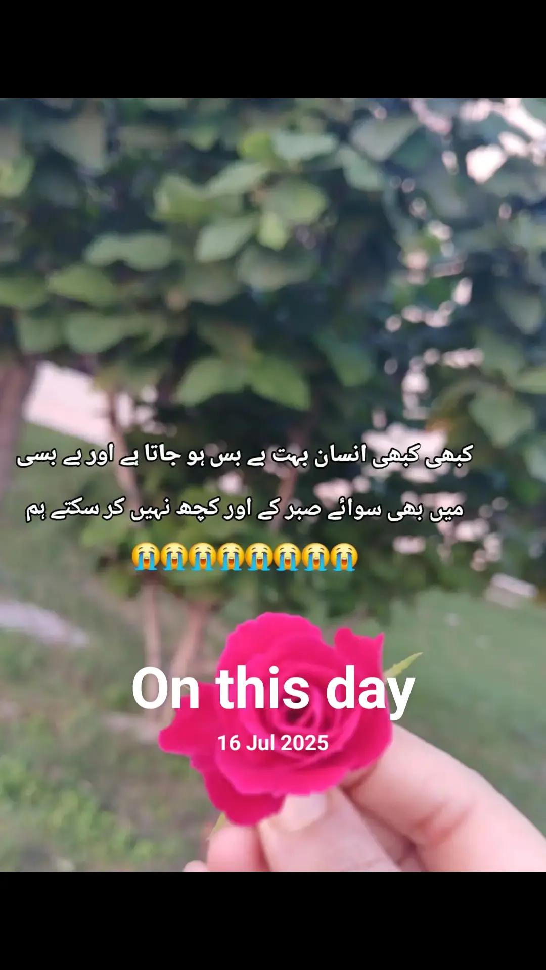 @⋆🎀  𝒩𝒶𝒾𝓁𝒶 𝓀𝒽𝒶𝓃  🎀⋆