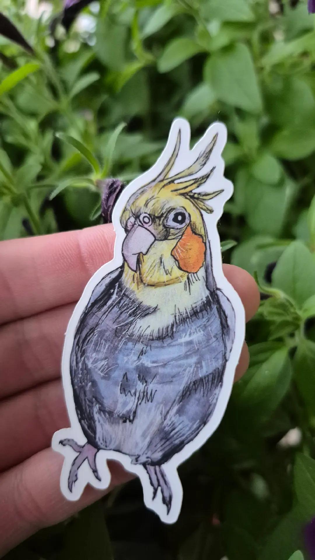 @Organic Illustrations