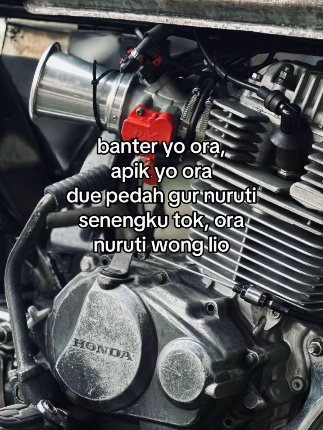 @pitung_jahannam