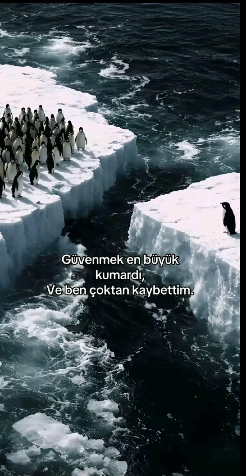 @E.S