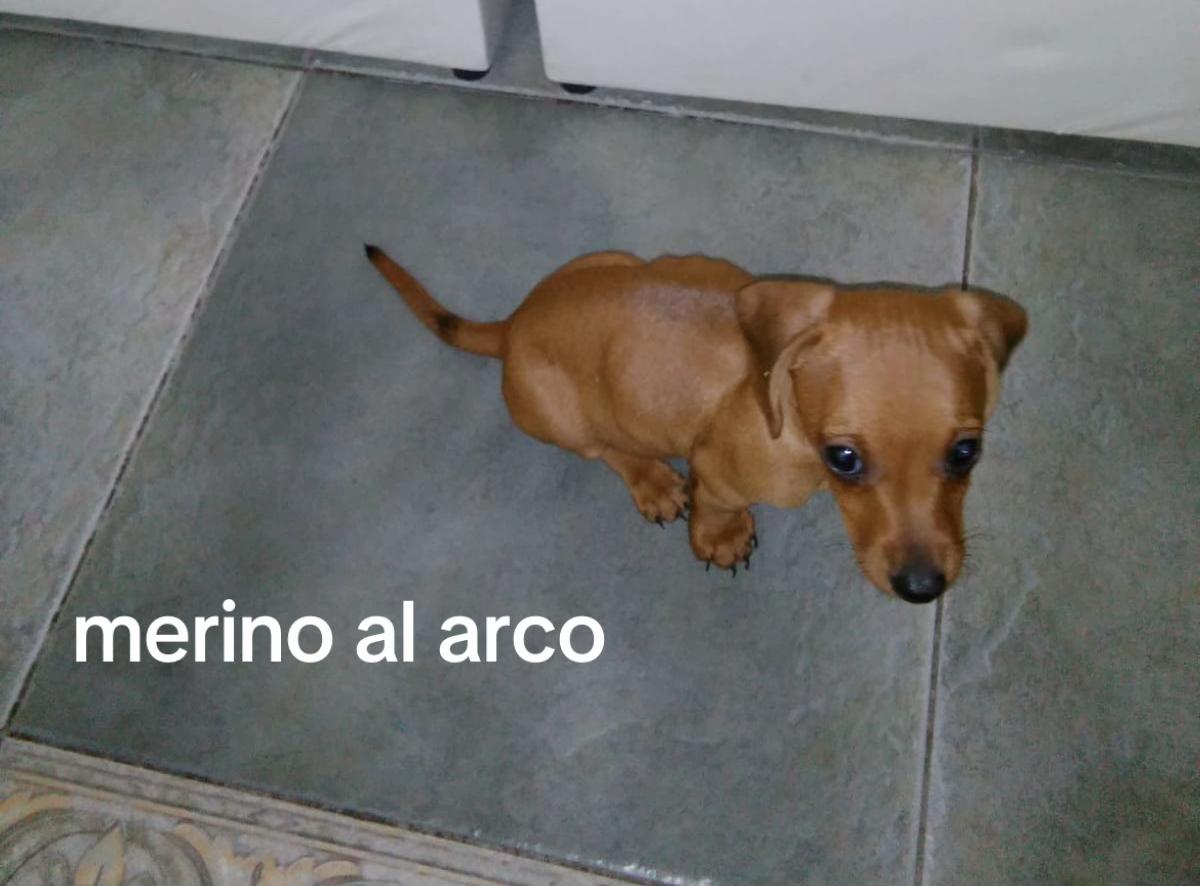 @francemenotti