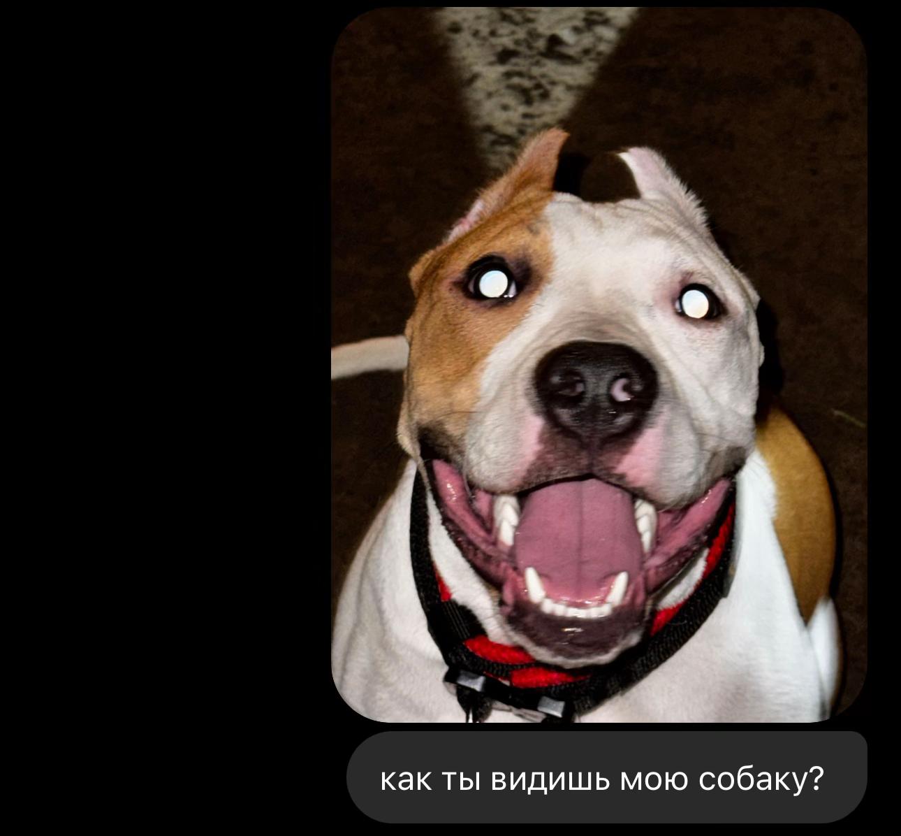 @ТГК- АСТ ГУФ