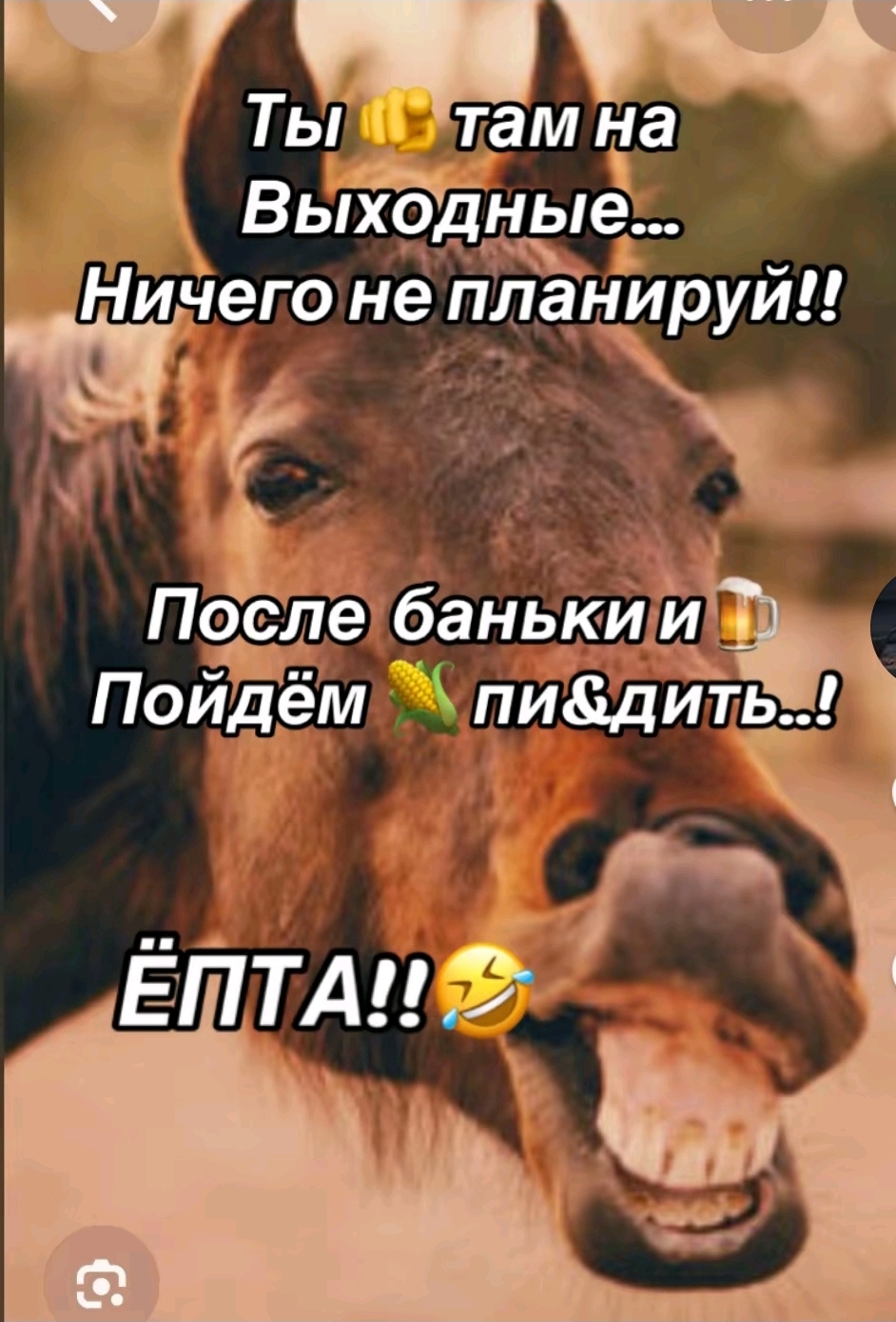 @ина