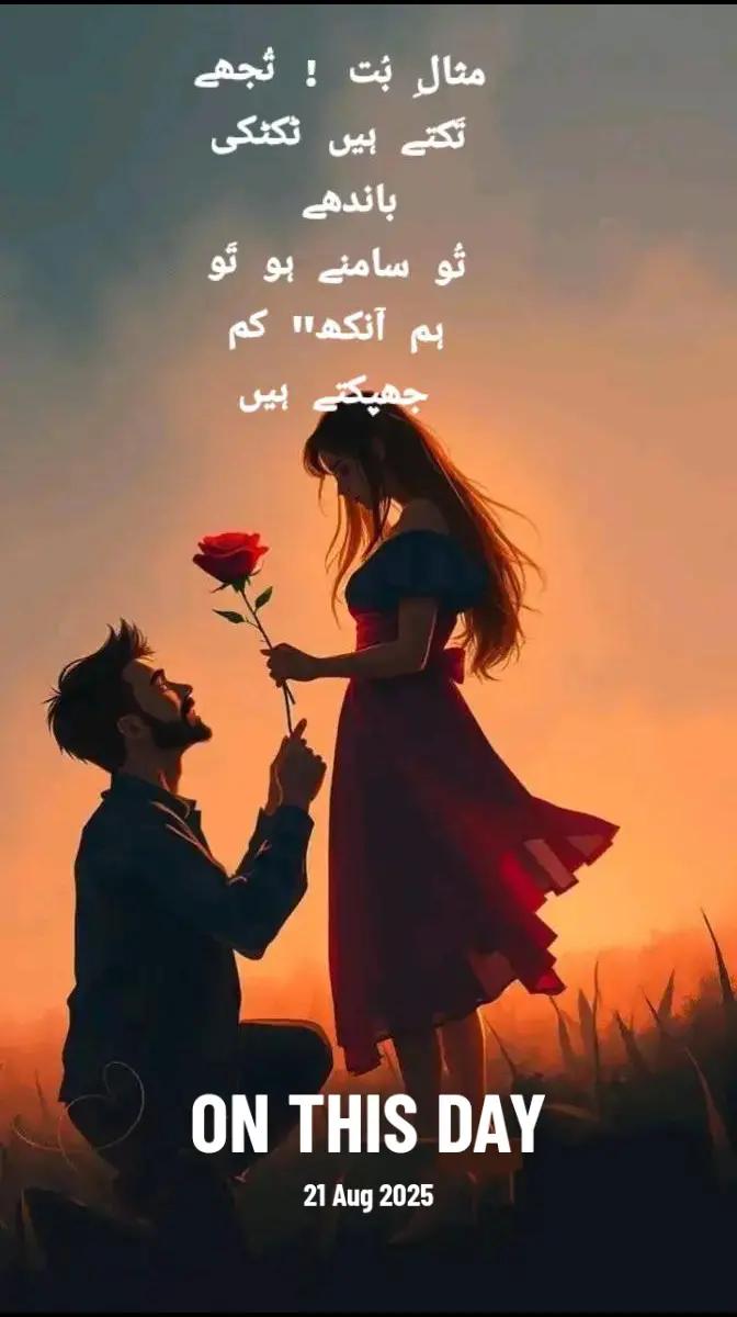@Hania Malik🇬🇧