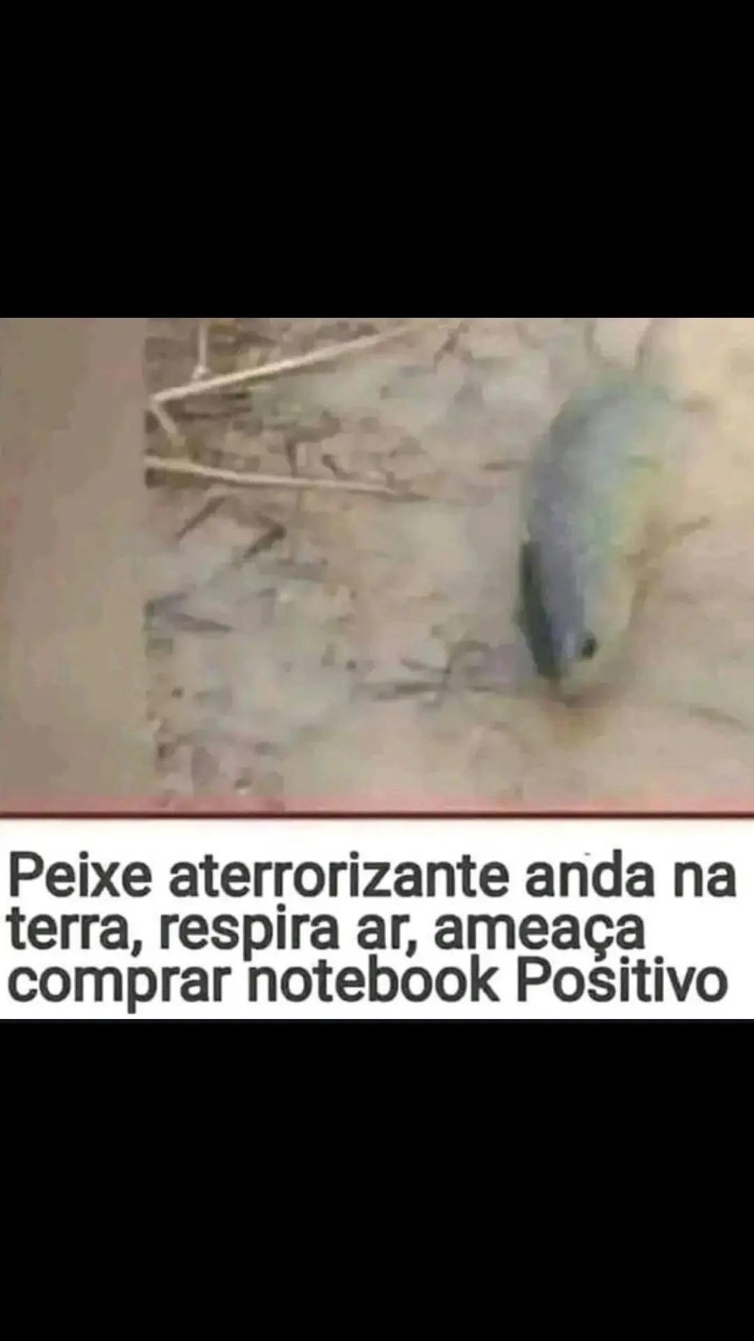 @๐ง