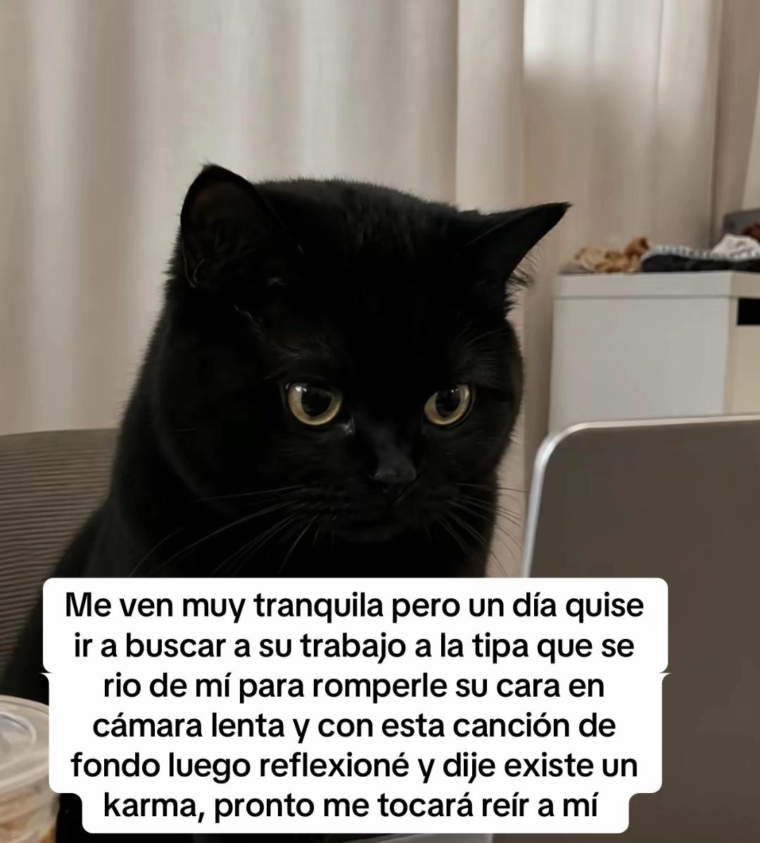 @⛅️🩷🧸⭐️Sandy Ugalde⭐️🧸🩷⛅️