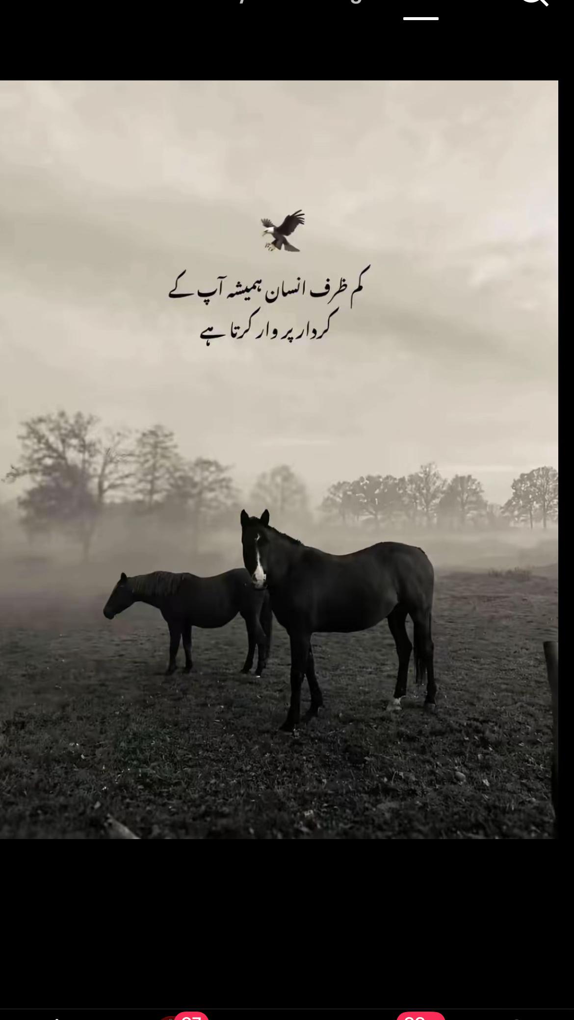 @حیدر کہتے ہے
