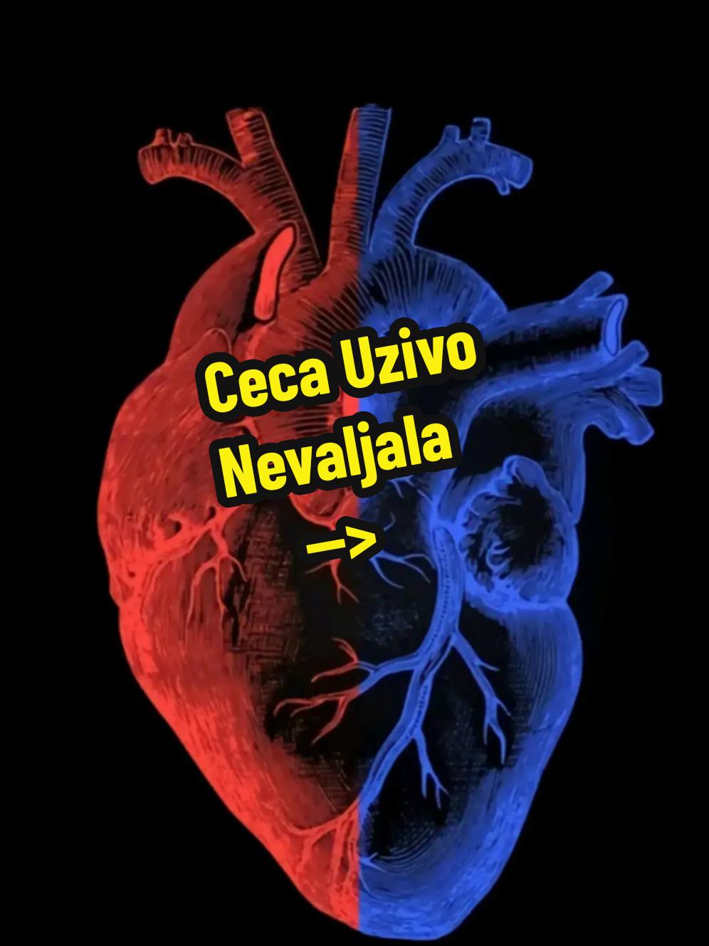 @Muzika od srca
