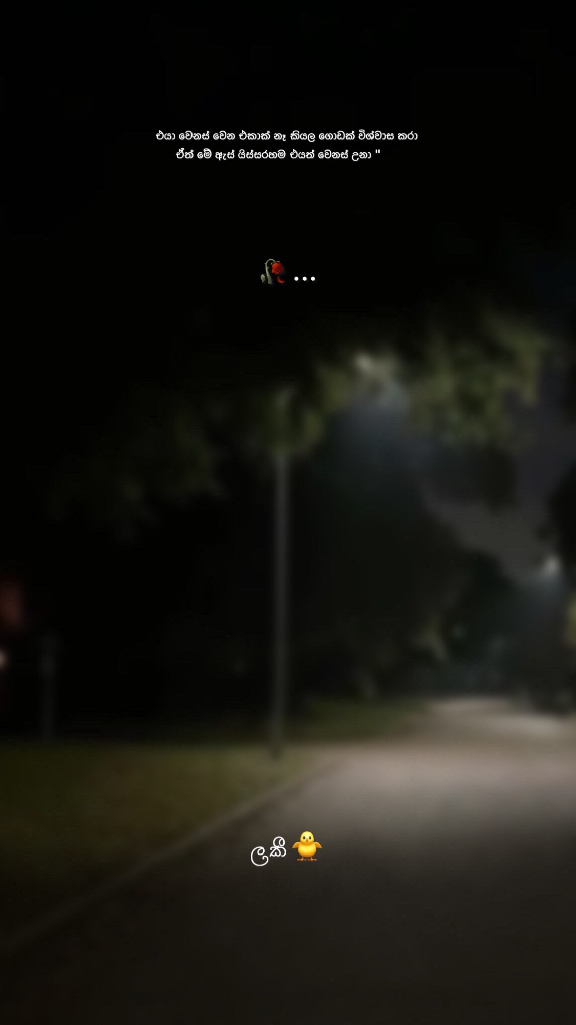 @🐾ලකී׀lucky|அதிர்ஷ்டசாலி🕷🧊💥