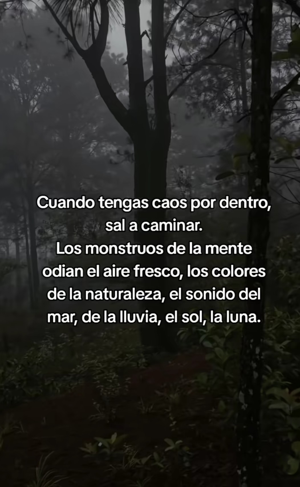 @Andre🌻