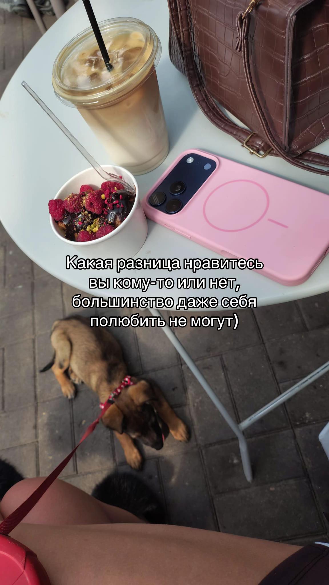 @๐น๐๐๐๐ ๐ฆ