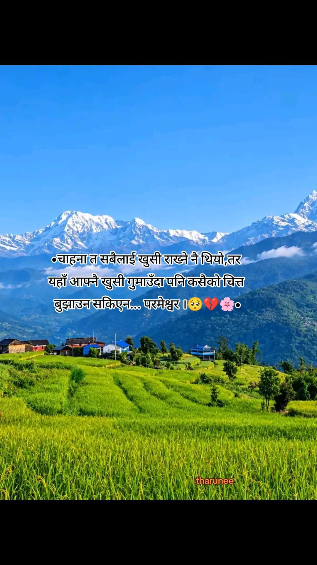 @❤️🩹❶❶:❶❶❤️🩹(थरुनी)