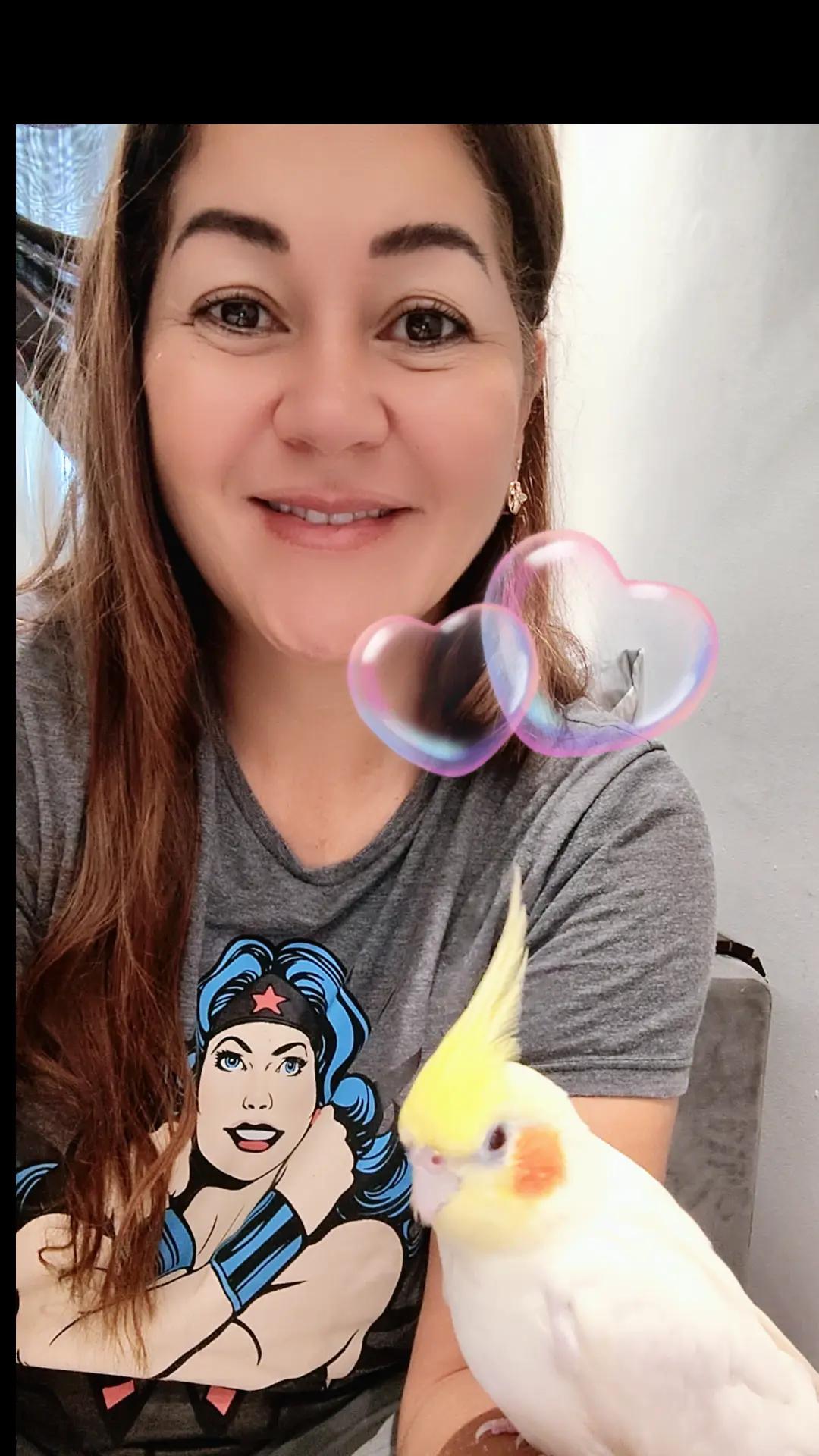 @Delíciasdacidinha