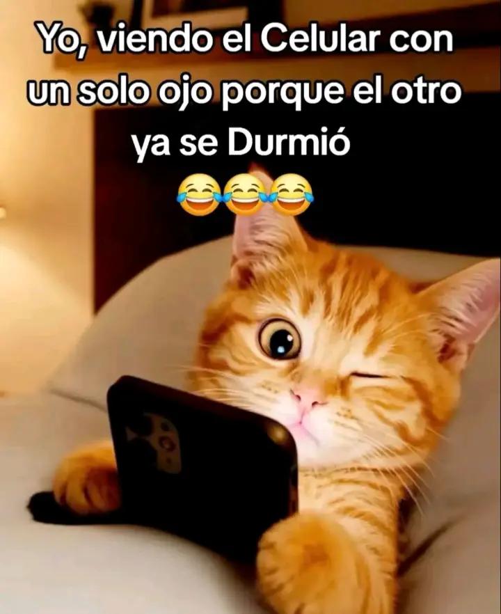 @Mary.S