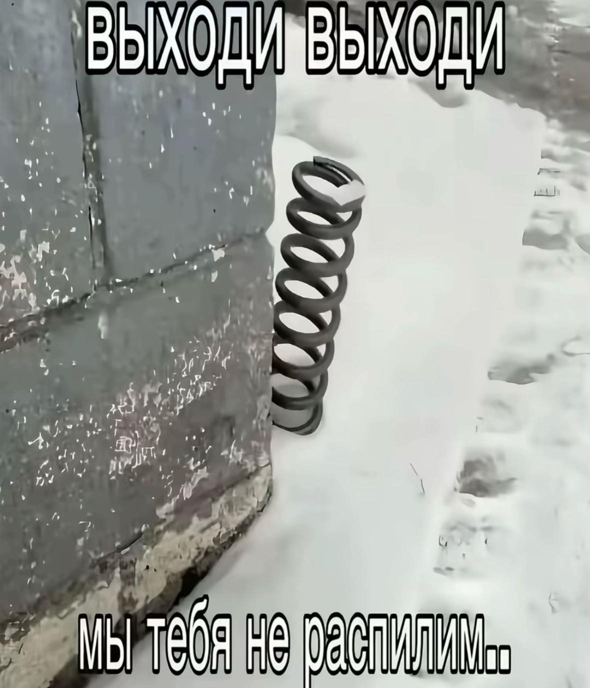@mxkvsl