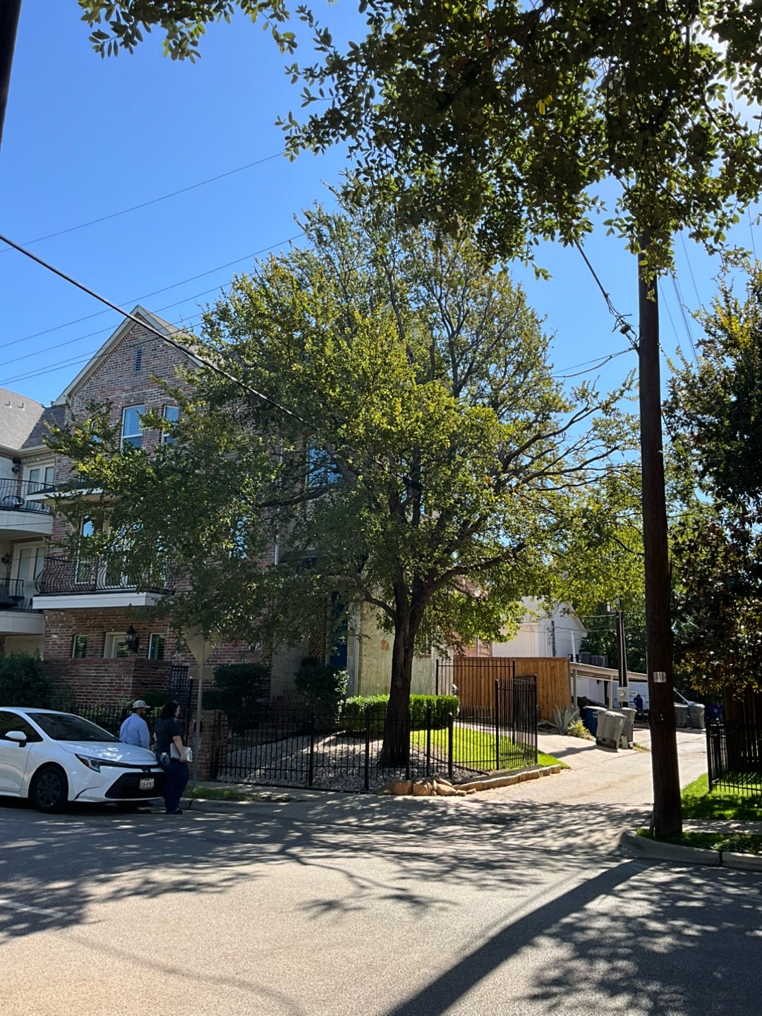 @Live Oak Tree Service