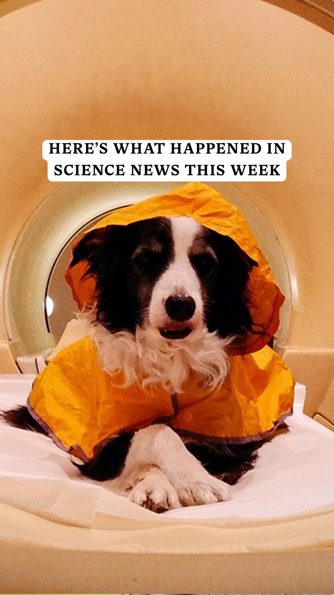@Science News