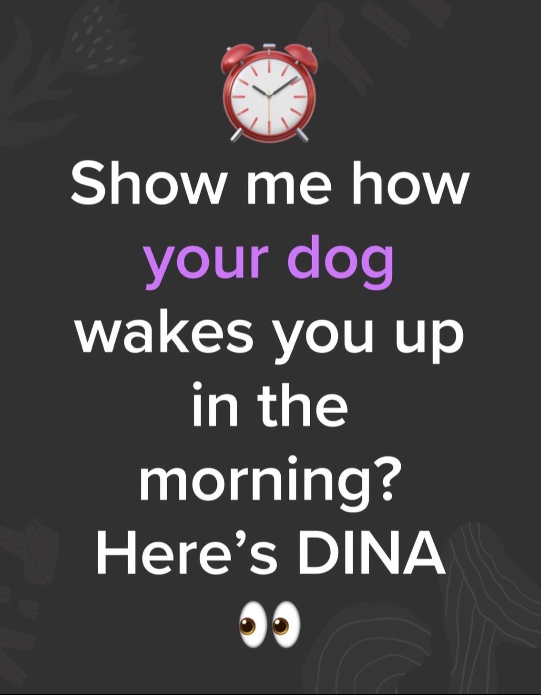 @K9 Dina