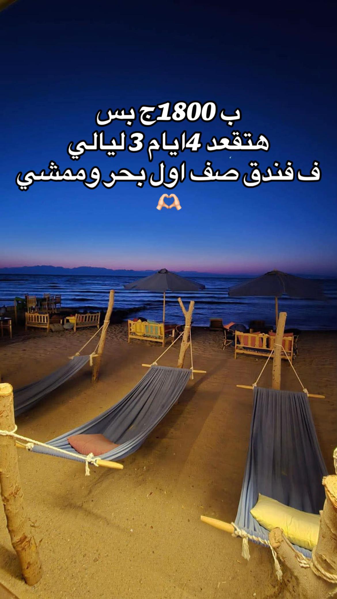 @ZM-TRAVEL🌊