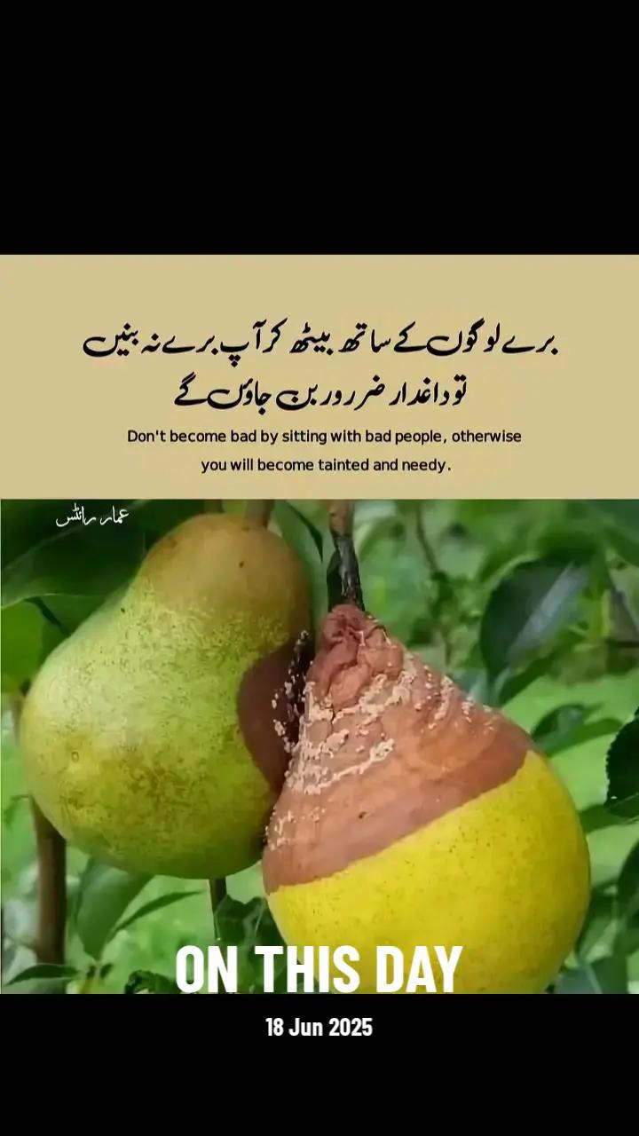 @Allah is  Tha best