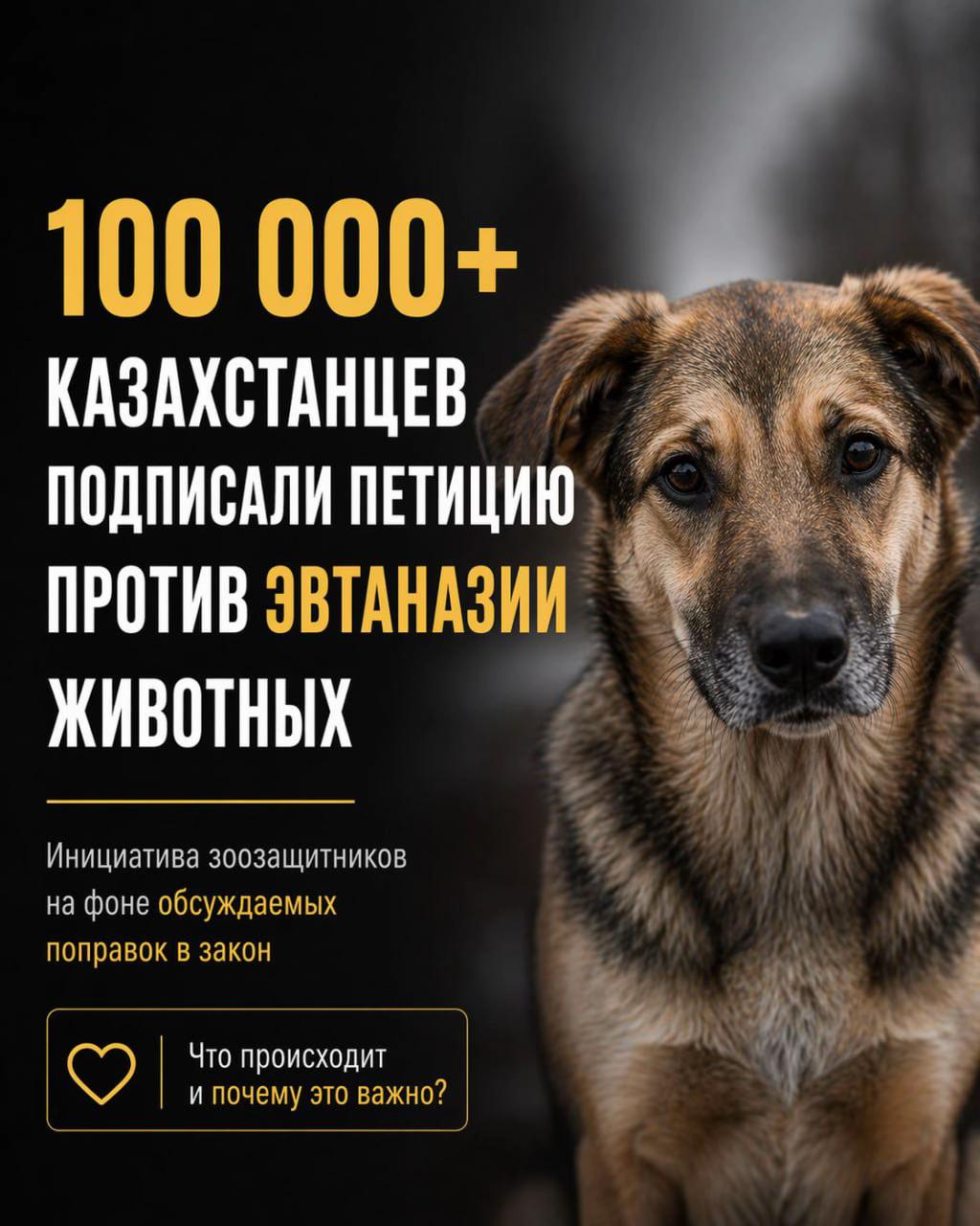 @Politoday: Новости Казахстана