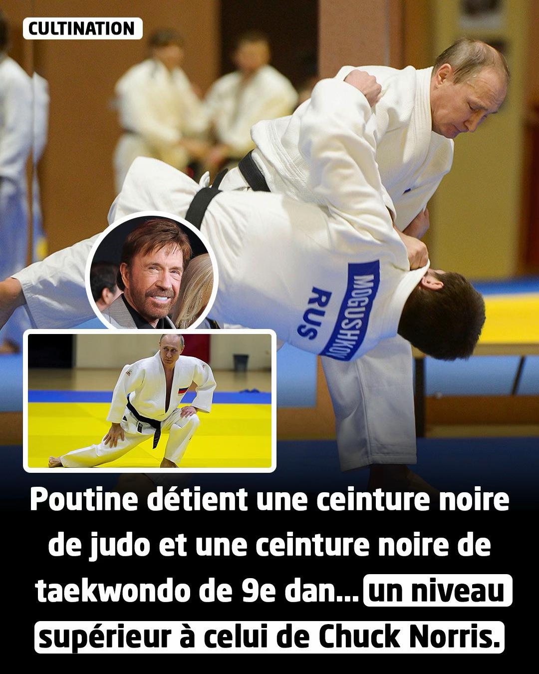 @cultination.officiel