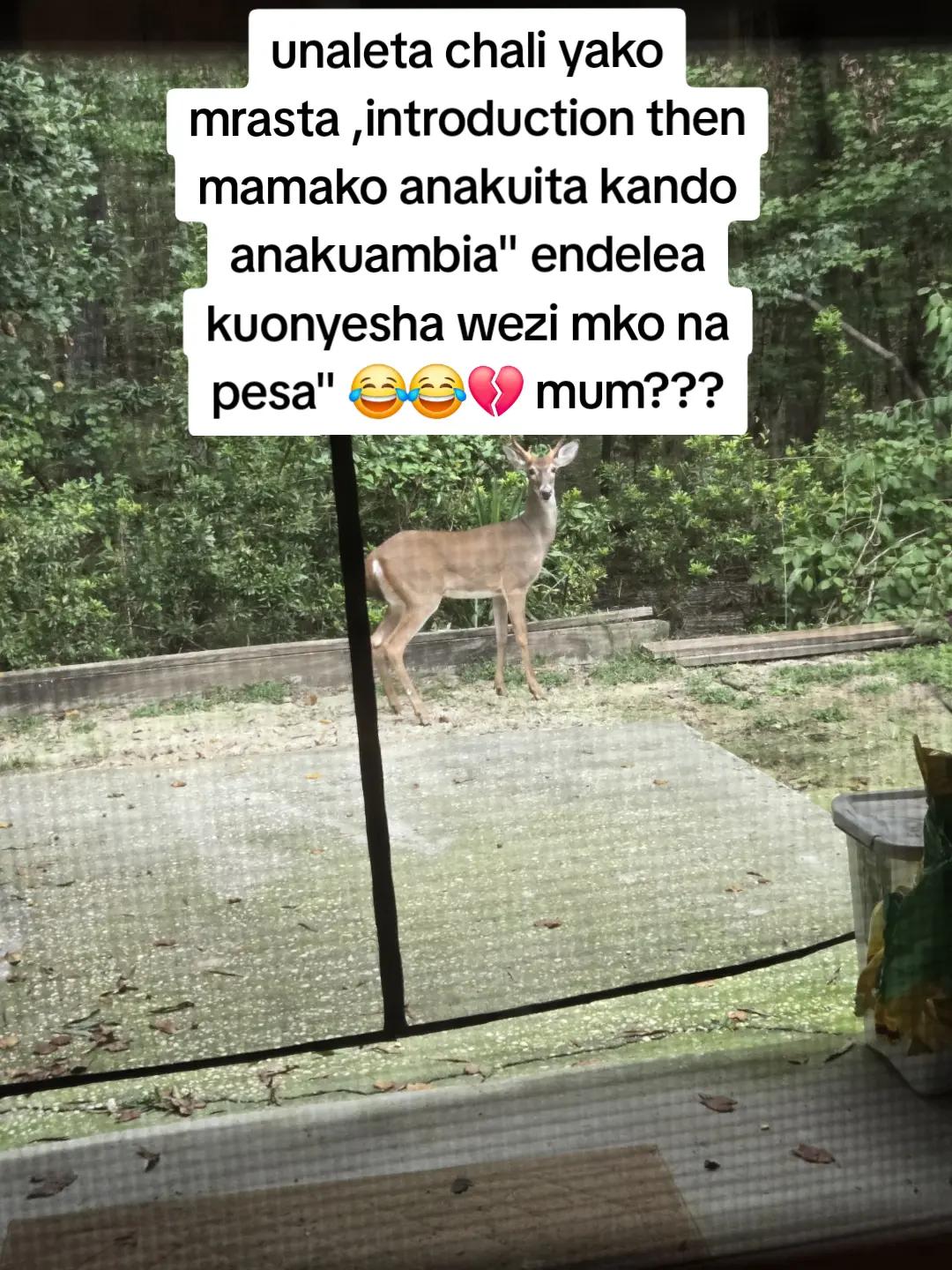 @Ayuni