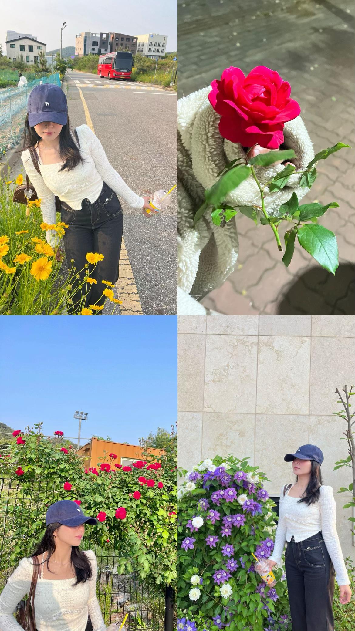 @Ichigo-ichie