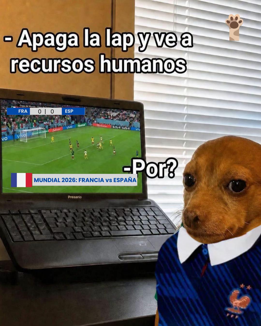 @Petlife