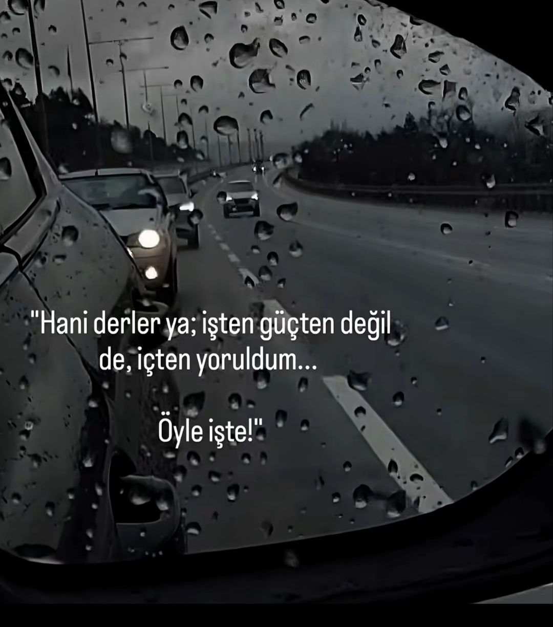 @Nevin Kuytak