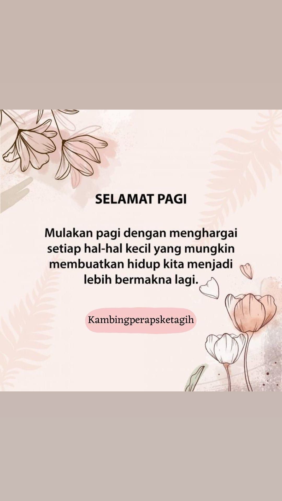 @Kambing Peraps Ketagih Ampang