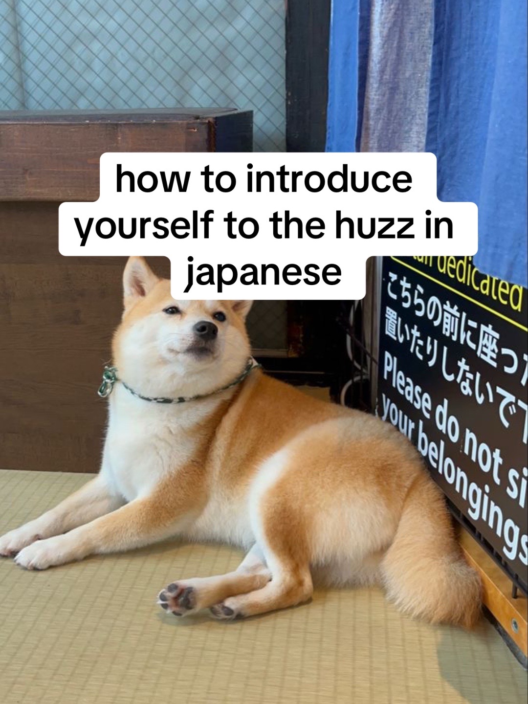 @japanese_with_jess