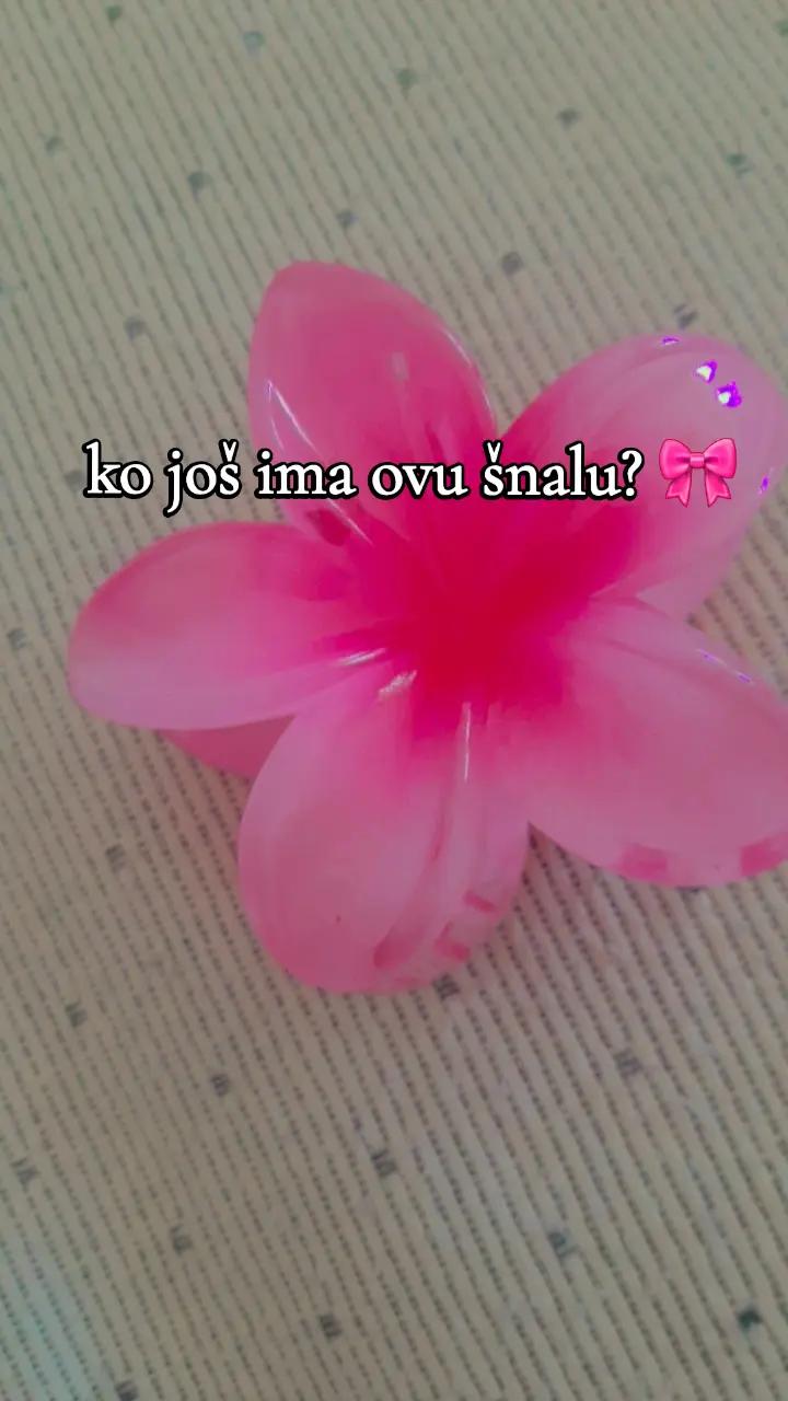 @Ajlin medvedić🎀