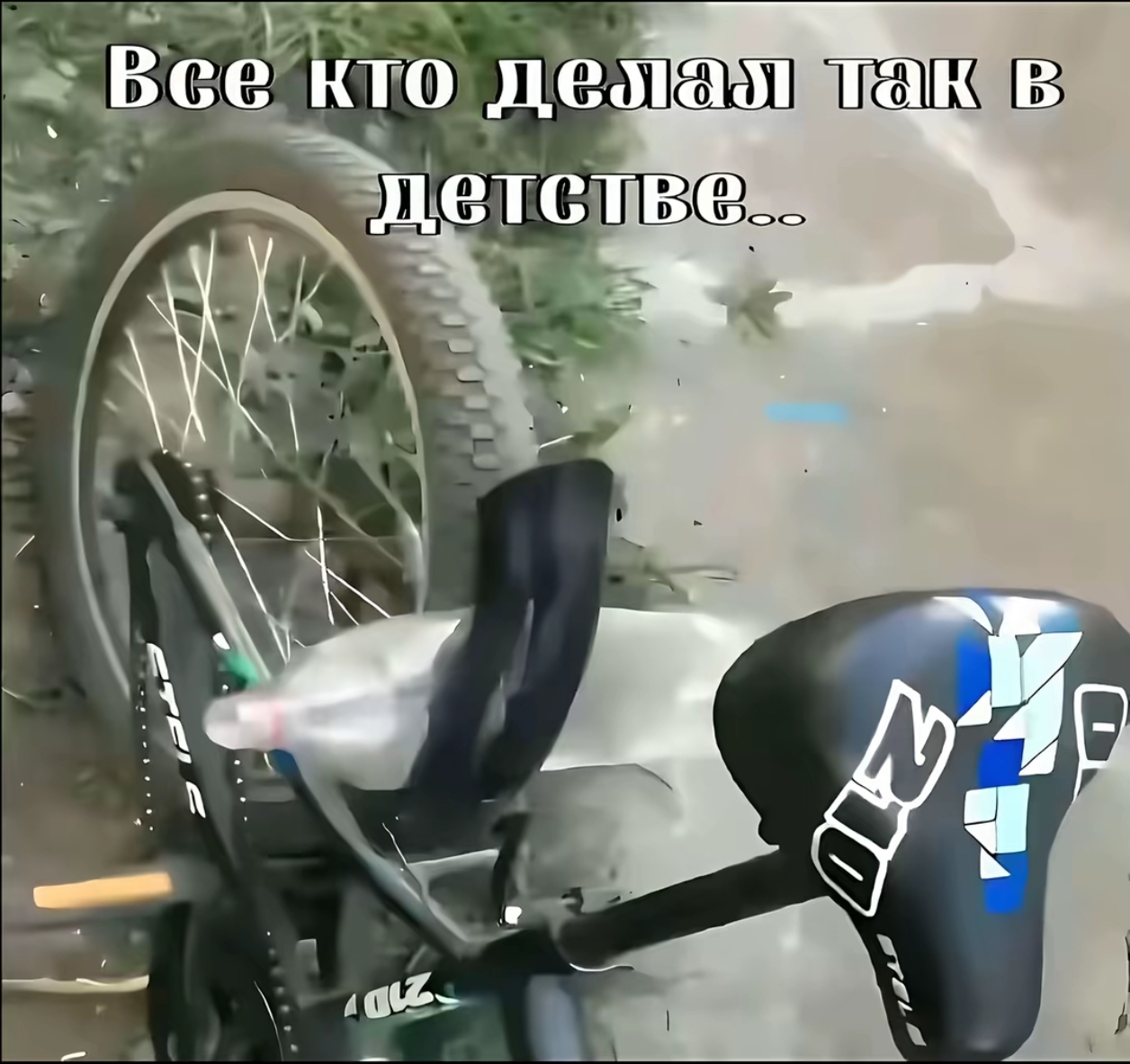 @m6creal