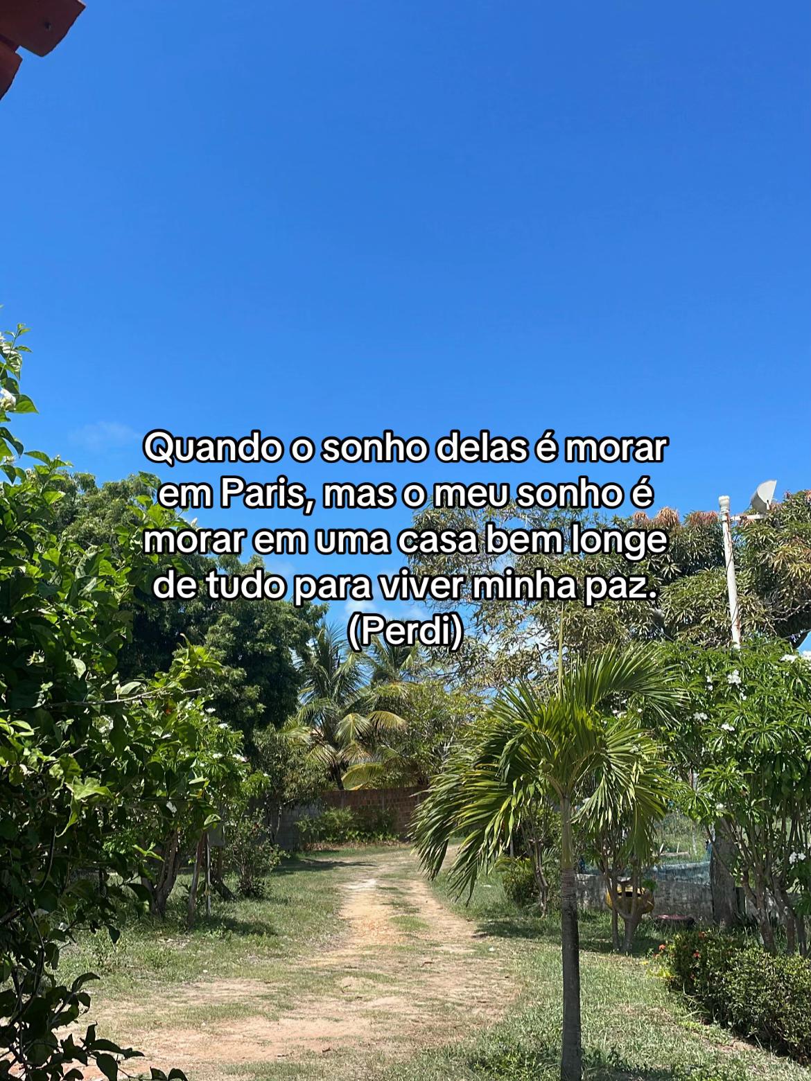 @Ellen Mendon&ccedil;a