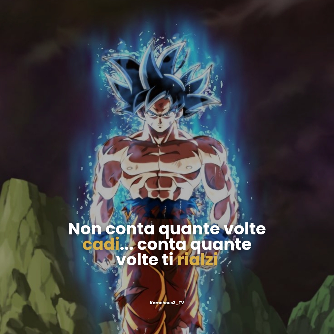 @kamehous3_tv