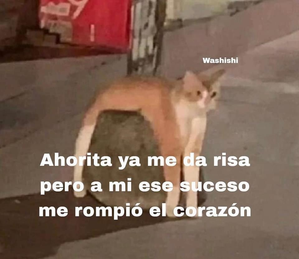@nataliasuarezor