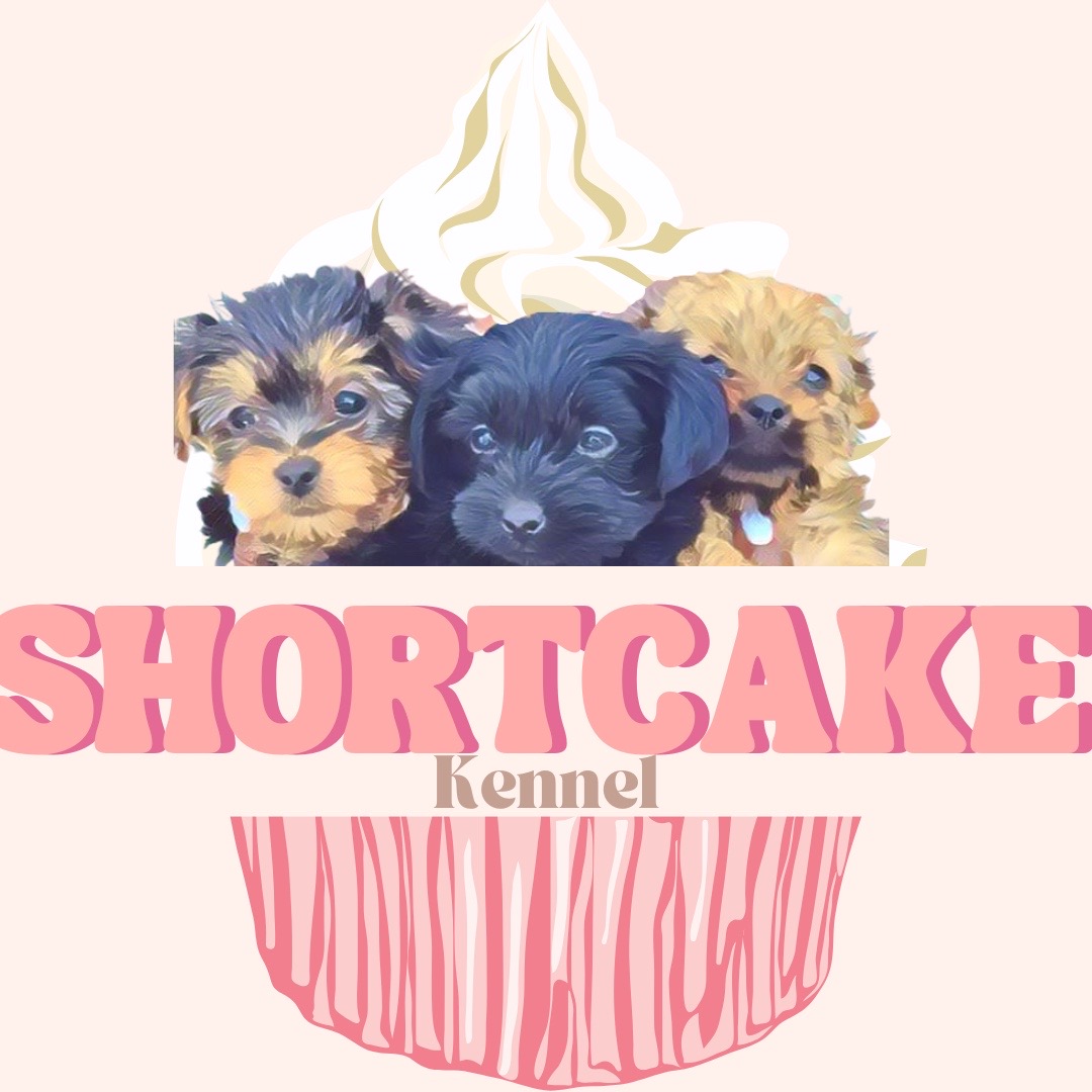 @Shortcake_kennel_2