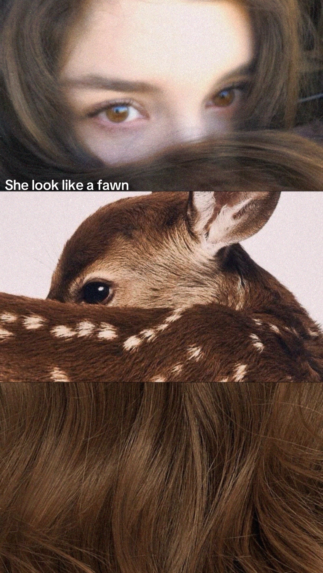 @🪽Vict𝓞ria𐙚