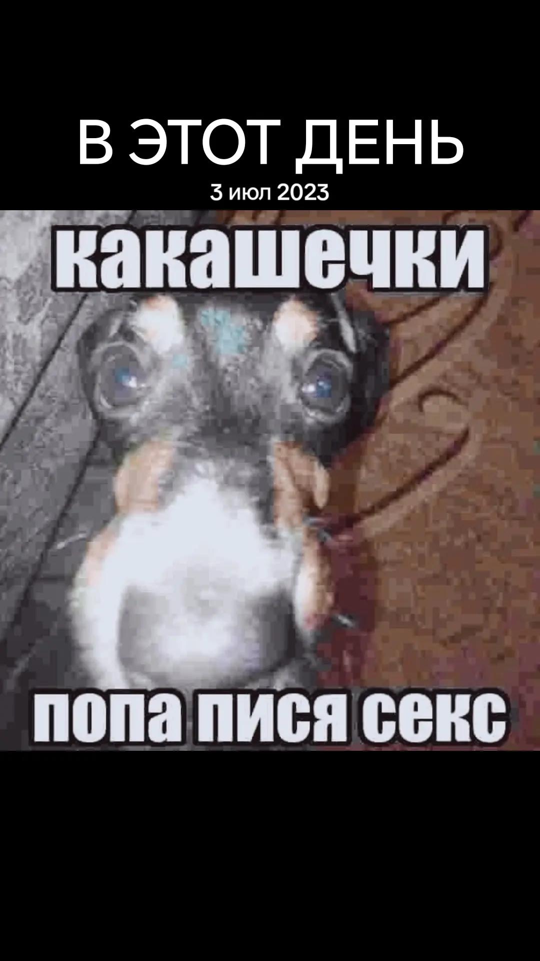 @дімас
