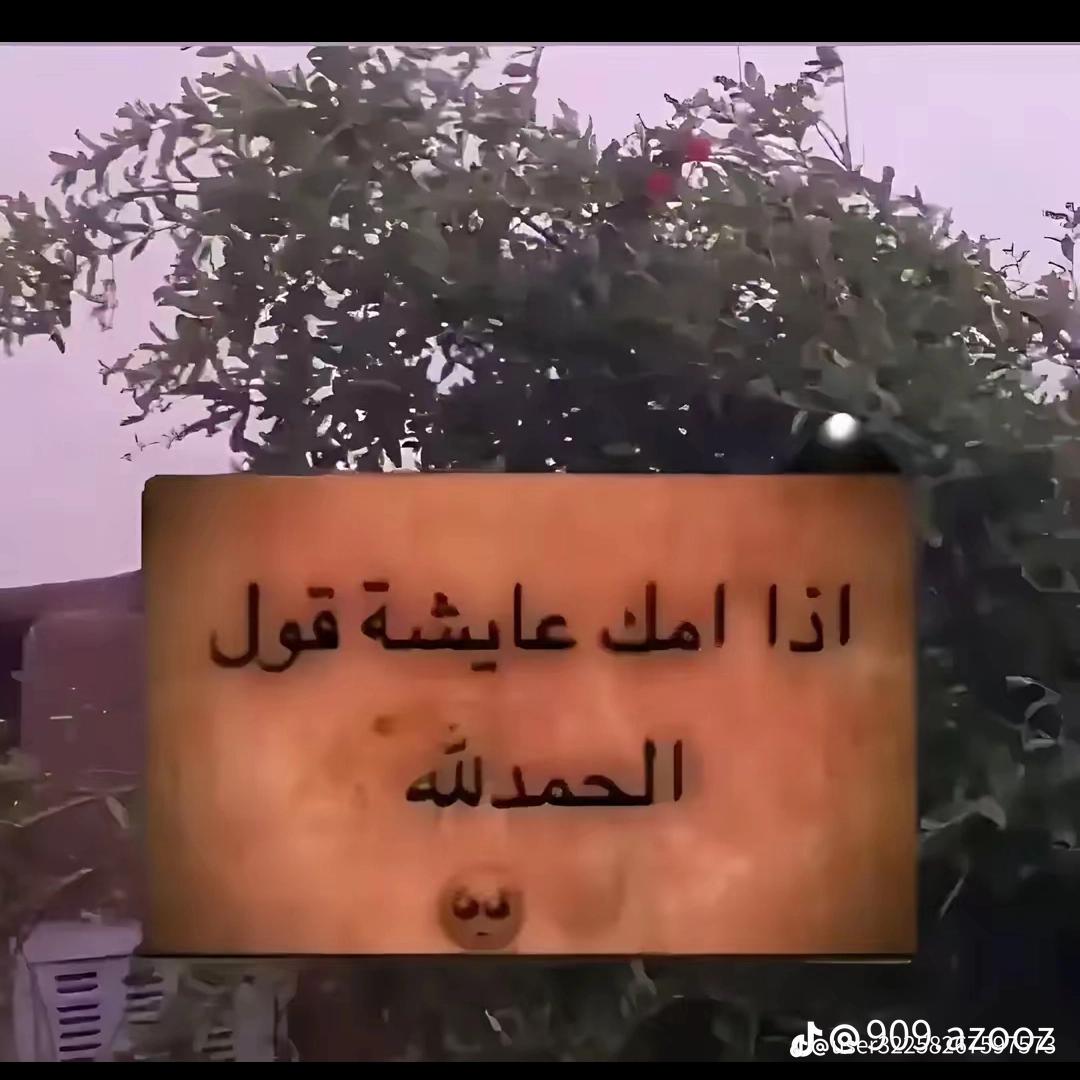 @امـــــير 🦅//𝑨𝑴𝒊𝒓