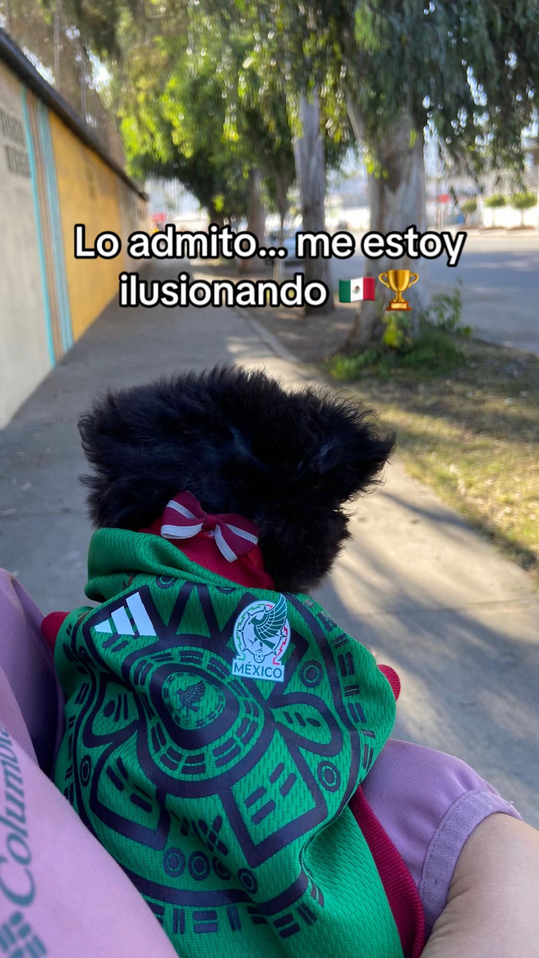 @Paloma Zambrano