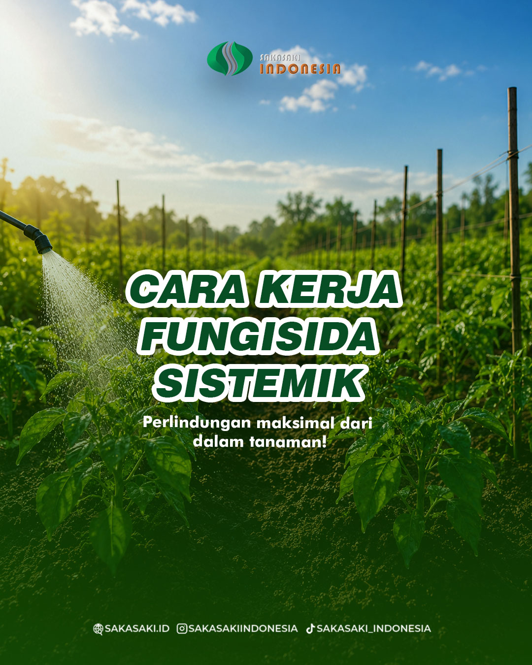 @SAKASAKI_INDONESIA