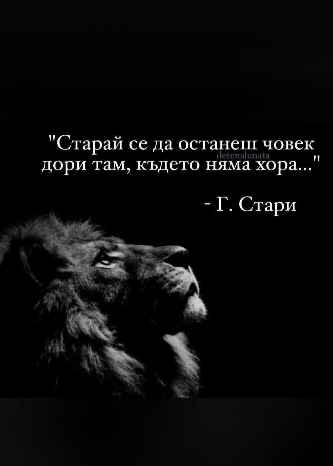@🇧🇬🇧🇬🇧🇬ХРИСТО ДОНЕВ🤍💚❤️