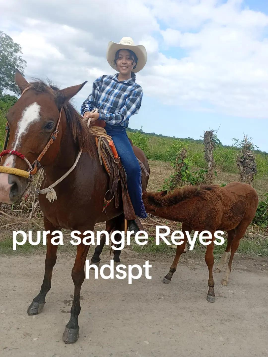 @reyes🔥😈