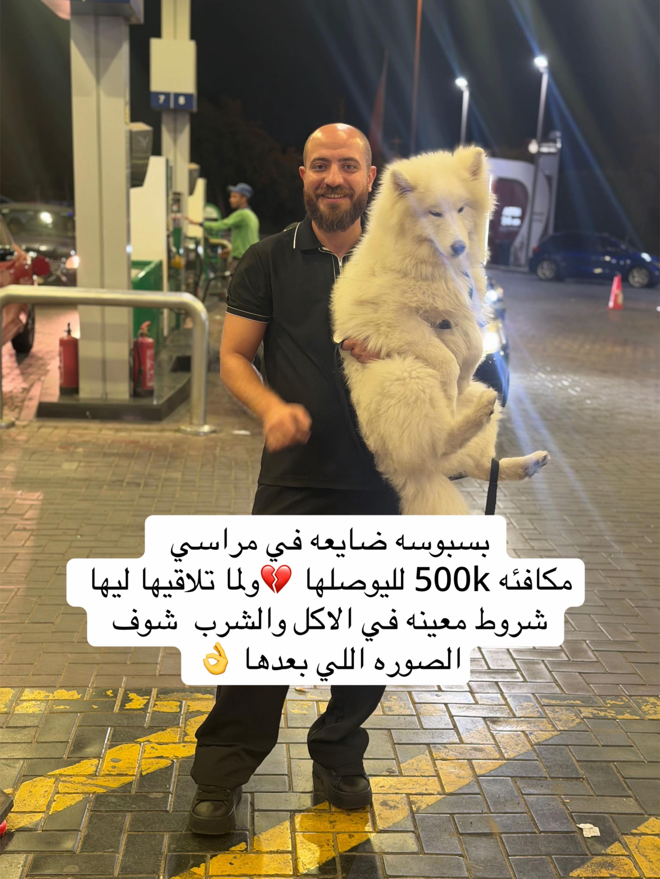 @محمد شعلة 🔥🎤