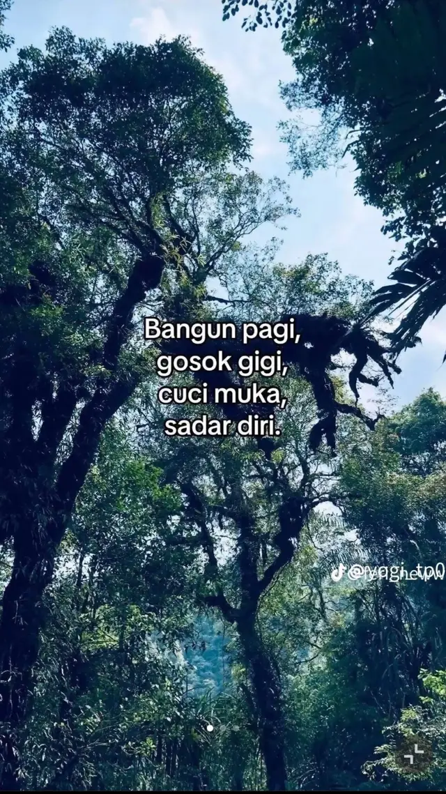 @Askar_gcor ⃝